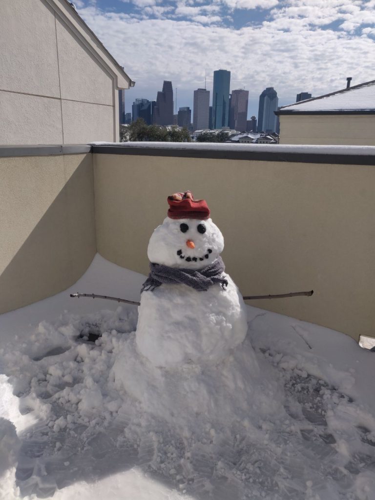 After it Snows in Houston